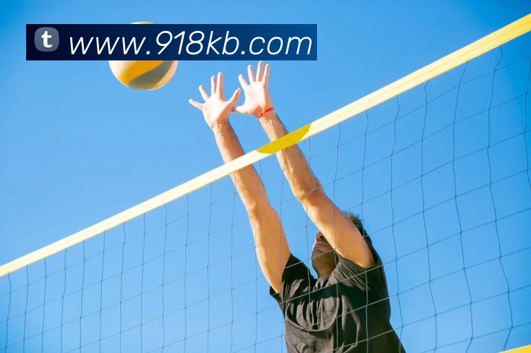 kb体育全站App kb体育全站App